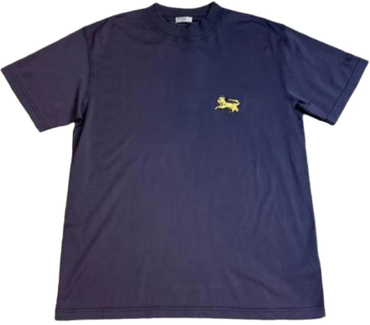 dior-blue-loose-fit-t-shirt-with-solid-color-logo-embroidery-143-j649-a0677-c340