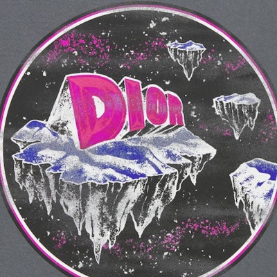 DIOR Graphic Print Loose Fit Crewneck T-Shirt - Grey. 393J696D0817C889 Purchase DIOR Graphic Print Loose Fit Crewneck T-Shirt - Grey. 393J696D0817C889