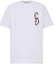 Sizing DIOR 經典標誌印花短袖圓領T恤 343J637A0554-C087