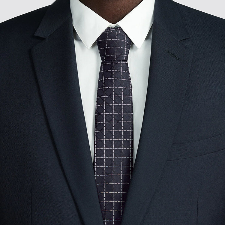 Lookbook DIOR  Navy Blue Checkered Business Casual Tie. 31C1047B0771-C588