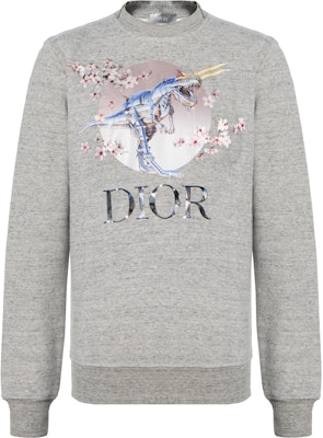 DIOR "T-Rex Cherry Blossom" Grey Unisex Pullover Sweatshirt 933J635B0555-880 Buy DIOR "T-Rex Cherry Blossom" Grey Unisex Pullover Sweatshirt 933J635B0555-880