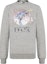 Buy DIOR "T-Rex Cherry Blossom" Grey Unisex Pullover Sweatshirt 933J635B0555-880