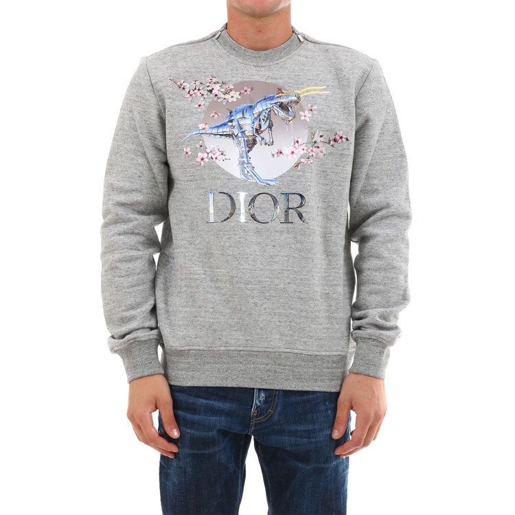 Lookbook DIOR "T-Rex Cherry Blossom" Grey Unisex Pullover Sweatshirt 933J635B0555-880