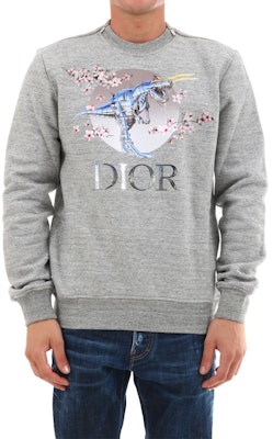 DIOR "T-Rex Cherry Blossom" Grey Unisex Pullover Sweatshirt 933J635B0555-880 Lookbook DIOR "T-Rex Cherry Blossom" Grey Unisex Pullover Sweatshirt 933J635B0555-880