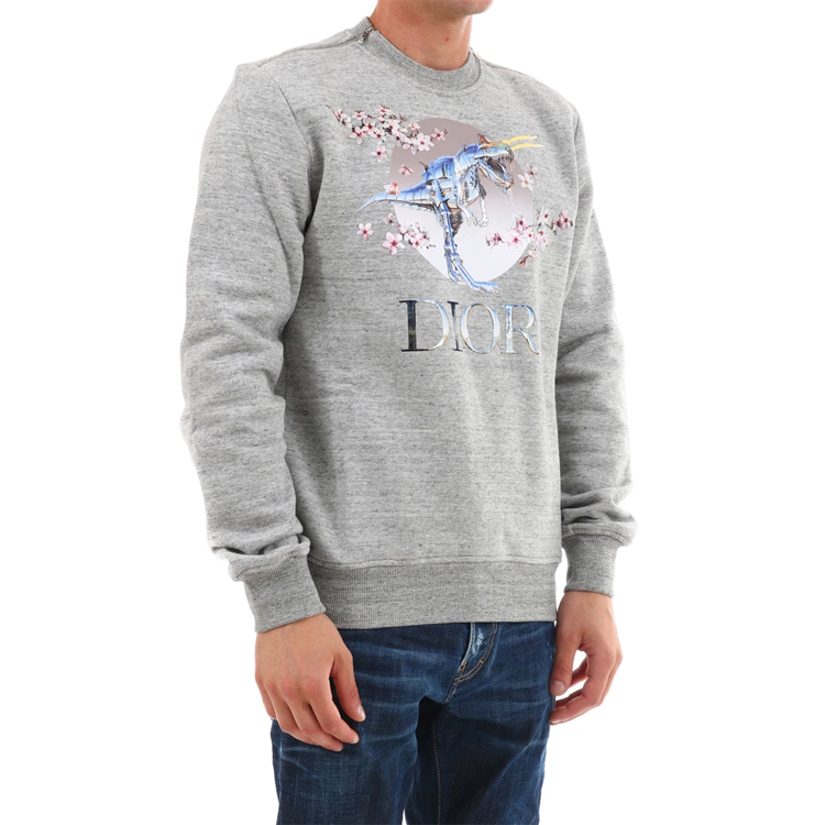 Purchase DIOR "T-Rex Cherry Blossom" Grey Unisex Pullover Sweatshirt 933J635B0555-880
