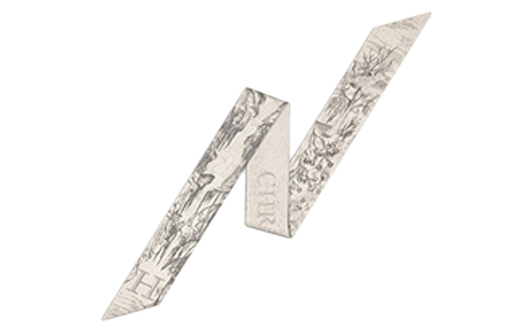 Dior ABCDIOR Mitzah Twill Scarf Unisex in Gray 11ABC106H600-C850