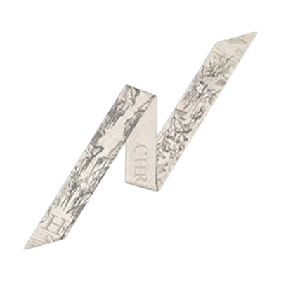 Dior ABCDIOR Mitzah Twill Scarf Unisex in Gray 11ABC106H600-C850