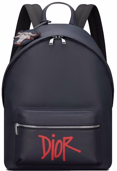 dior-and-shawn-rider-backpack-navy