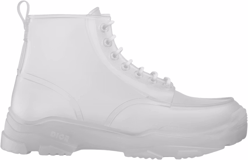 dior-ankle-boot-transparent