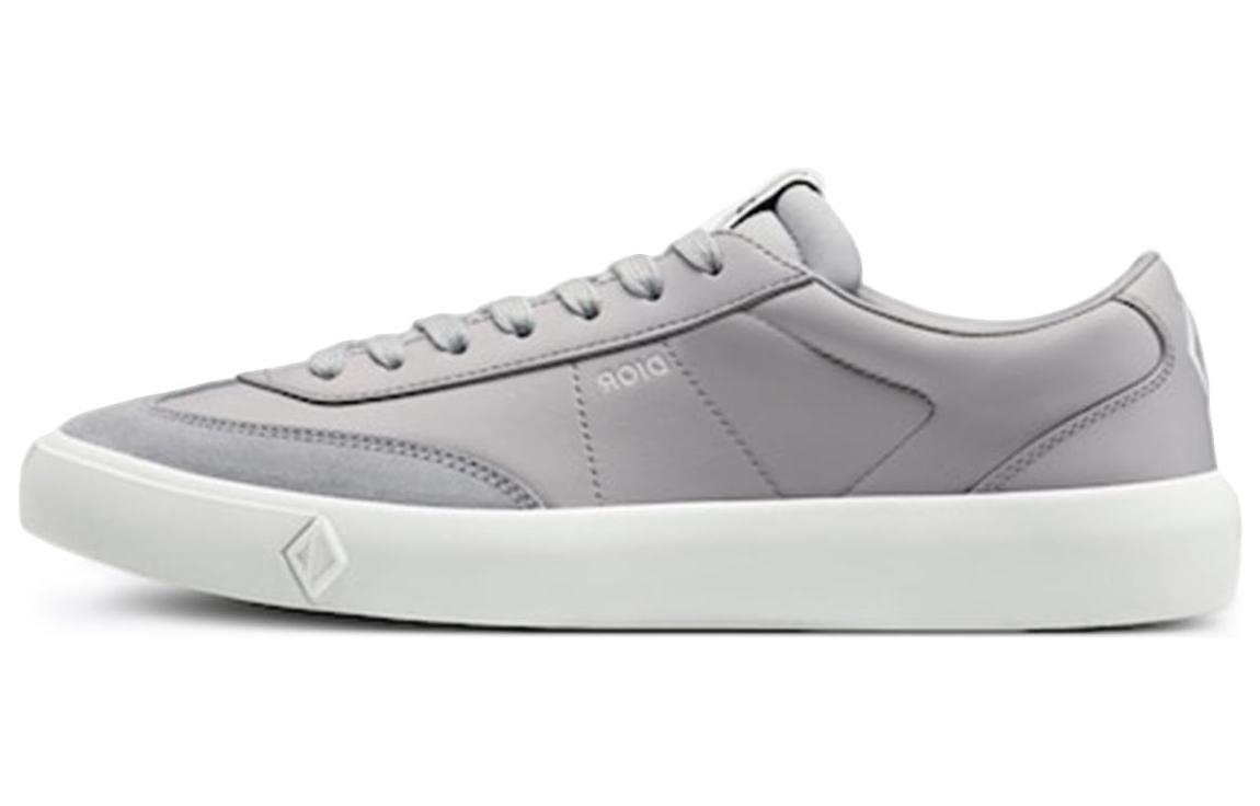 Dior B101 'Grey' 3SN285ZRH_H800