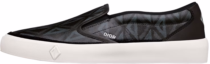 dior-b101-canvas-logo-low-top-3-sn-296-zpp-h900
