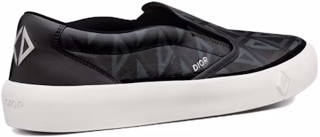 Dior B101 Kanvas 'Logo Low Top' 3SN296ZPP_H900 Lookbook Dior B101 Kanvas 'Logo Low Top' 3SN296ZPP_H900