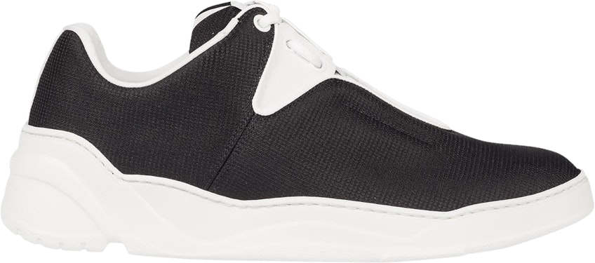 dior-b17-black-white