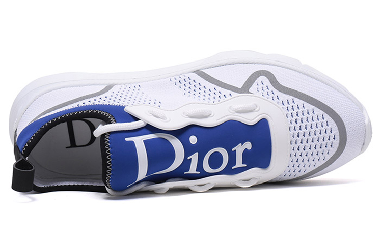 Shop DIOR 迪奧 B21 Neo 低筒運動鞋 白藍