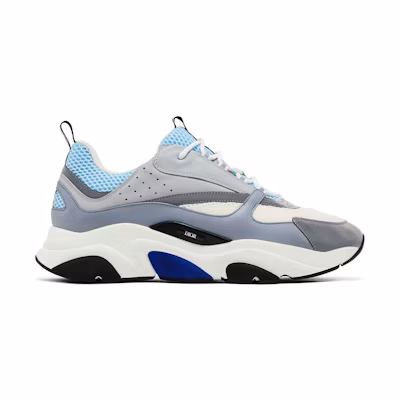 Dior B22 'White Blue'