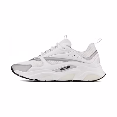 Dior B22 'White Grey'