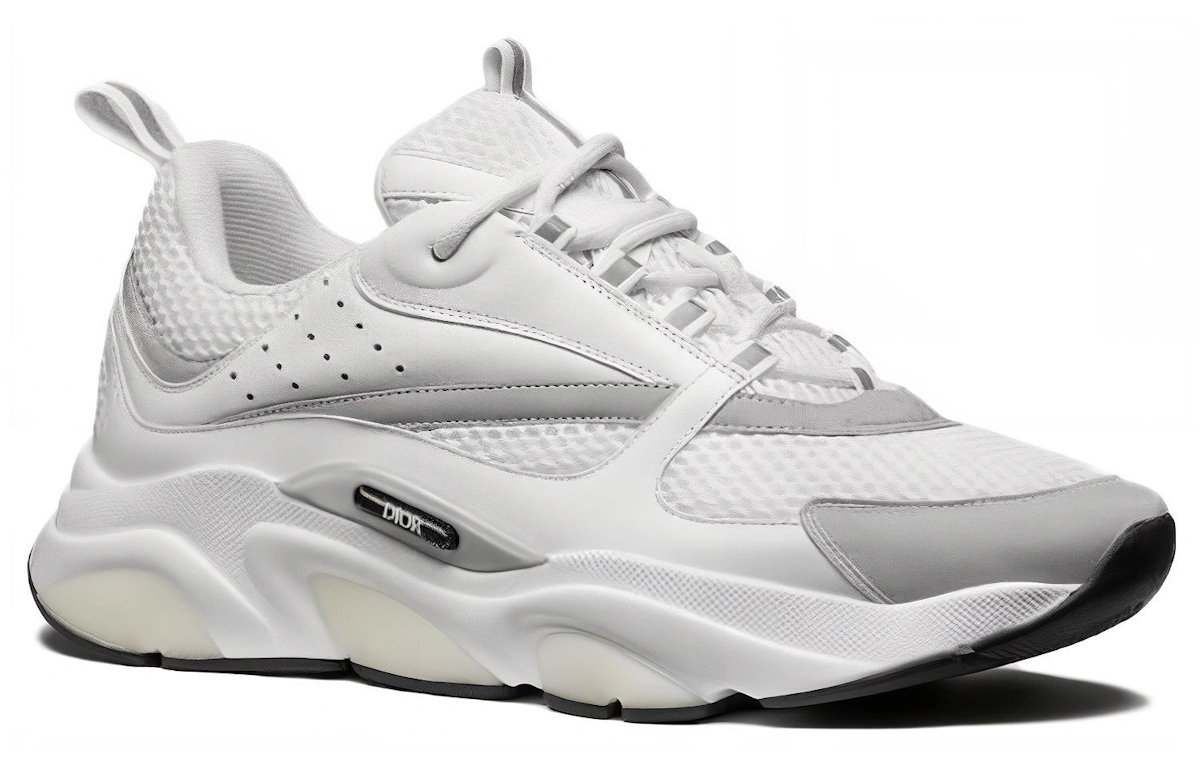 Dior B22 'White Grey'