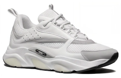 Dior B22 'White Grey'
