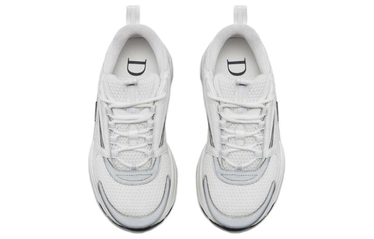 Dior B22 'White Grey'