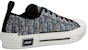 Dior B23 Low 'Biru' 3SN263ZBF_H165