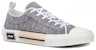 Dior B23 Low Top Ruthenium Metallic Thread Oblique Jacquard Lelaki 3SN249ZTU86851-/-3SN249ZTU_H868