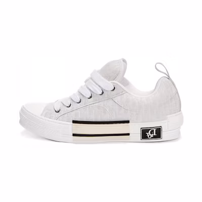 Dior B23 Skater 'Dior Oblique - Cream'