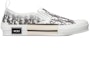 Order Dior B23 Slip-On 'Dior Oblique' 3SN262YJP_H069