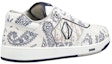 Shop Dior B27 低筒運動鞋 'Paisley 白色' 3SN272ZOF_H069