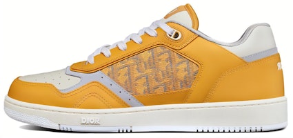 Dior B27 Low Gold-Tone White Grey 3SN272ZIR_H262 Dior B27 Low Gold-Tone White Grey 3SN272ZIR_H262