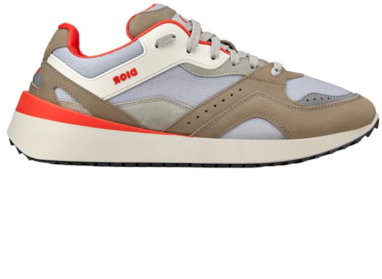 Dior B29 '灰棕色' 3SN270ZKO_H165 Order Dior B29 '灰棕色' 3SN270ZKO_H165