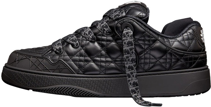 dior-b9-s-skater-erl-black-quilted-cannage-calfskin-3-sn-288-ztt-h900
