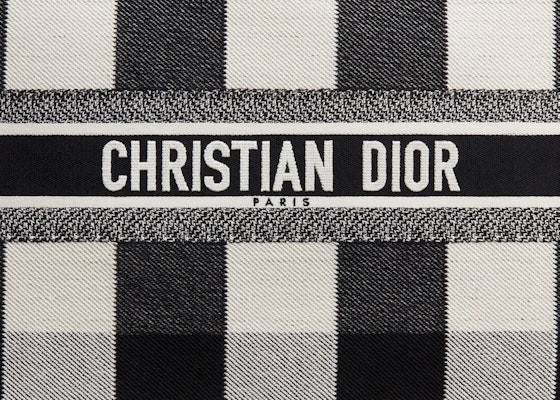 Dior Book Tote Check Off-White/Black Lookbook Dior Book Tote Check Off-White/Black