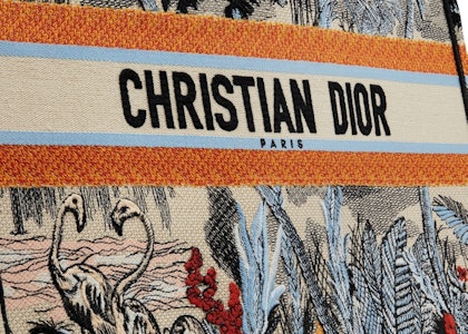 トワル ドゥ ジュイ トロピカリア デニムブルー マルチカラーのディオールブックトート Lookbook トワル ドゥ ジュイ トロピカリア デニムブルー マルチカラーのディオールブックトート