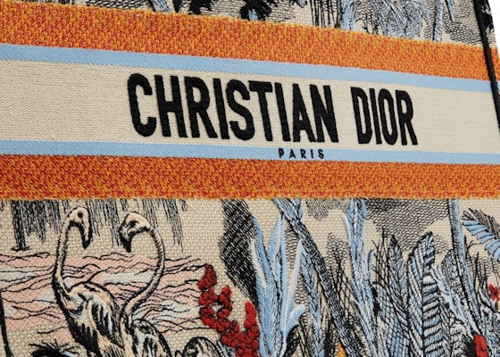 Dior Book Tote Toile de Jouy Tropicalia Denim Blue Multicolor Lookbook Dior Book Tote Toile de Jouy Tropicalia Denim Blue Multicolor