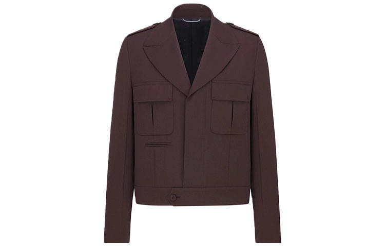 DIOR Casual Brown Single-Breasted Long-Sleeve Jacket 143C204A4739-C787