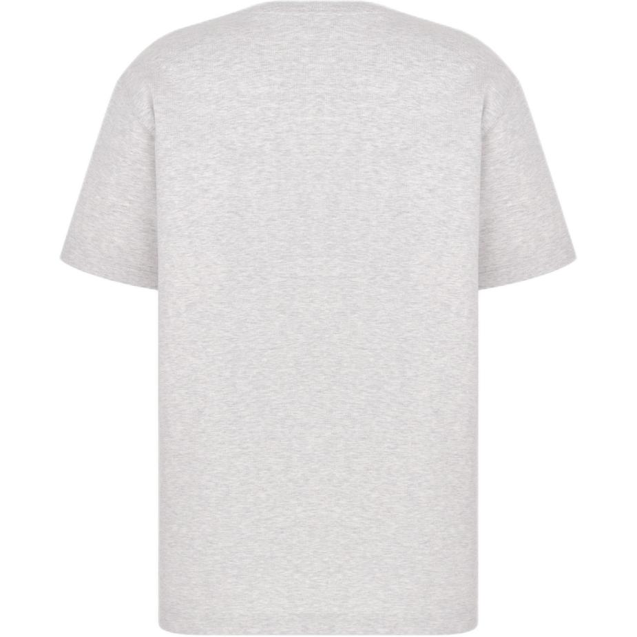 Lookbook ディオール CD アイコン 刺繍 コットン クルーネック ルーズフィット Tシャツ グレー SS24 943J605A0554-C881