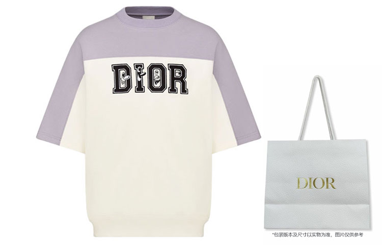 Shop DIOR Colorblock Oversized Short-Sleeve T-Shirt - New Season Collection. 193J648A0687-C880