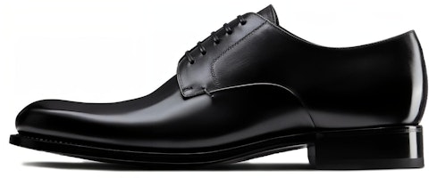Dior Derby Casual Shoe 'Polished Black Calfskin' 3DE312VJH_H900 Dior Derby Casual Shoe 'Polished Black Calfskin' 3DE312VJH_H900