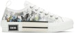 Dior B23 Rendah 'Dior Oblique - Cetakan Alex Foxton' 3SN249YTH_H562