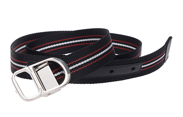 Shop 디올 패브릭 벨트, 2.5cm 폭 4194PLXJY-01D