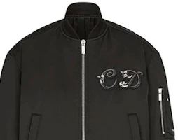 Purchase DIOR FW21 Black Solid Letter Zip Baseball Collar Jacket 943C439H5124-C989