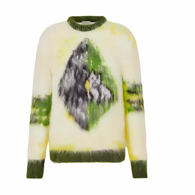 DIOR FW21 Green Patterned Jacquard Ribbed Crewneck Sweater. 143M645CT273-C286