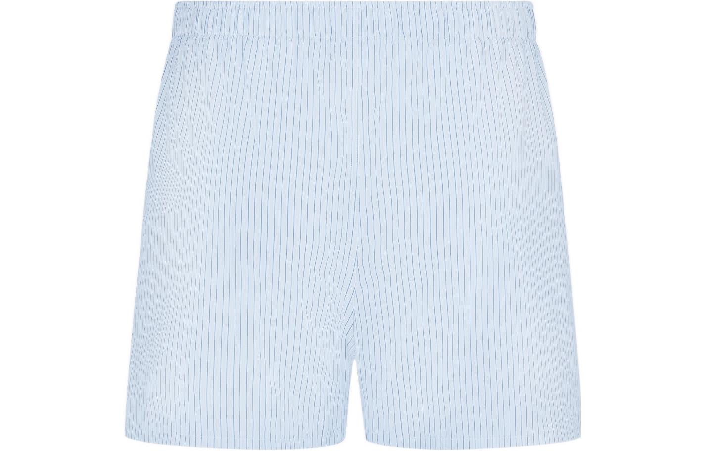 Lookbook DIOR FW22 Celana Pendek Kasual Motif Garis Biru. 243C106A5656-C085