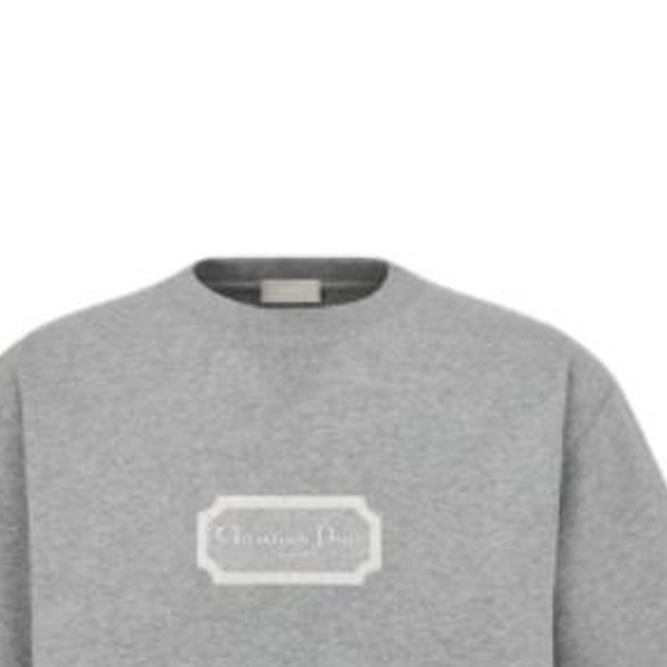 Details for DIOR FW22 灰色標誌短袖圓領T恤。 243J685B0554-C880
