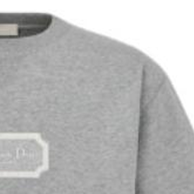Cheap DIOR FW22 灰色標誌短袖圓領T恤。 243J685B0554-C880