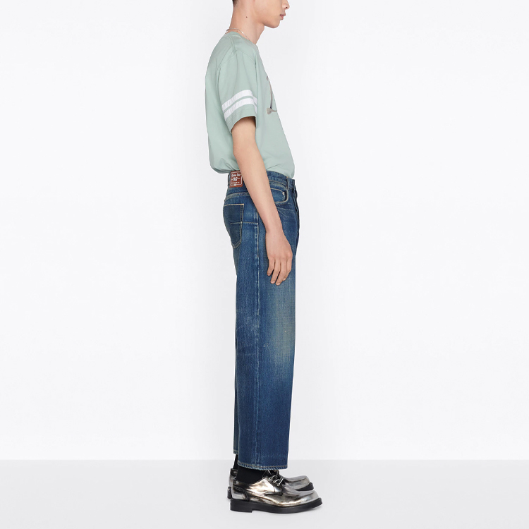 Sizing DIOR FW22 ロゴプリント ストライプ 半袖 Tシャツ ライトグリーン. 293J659A0554-C680