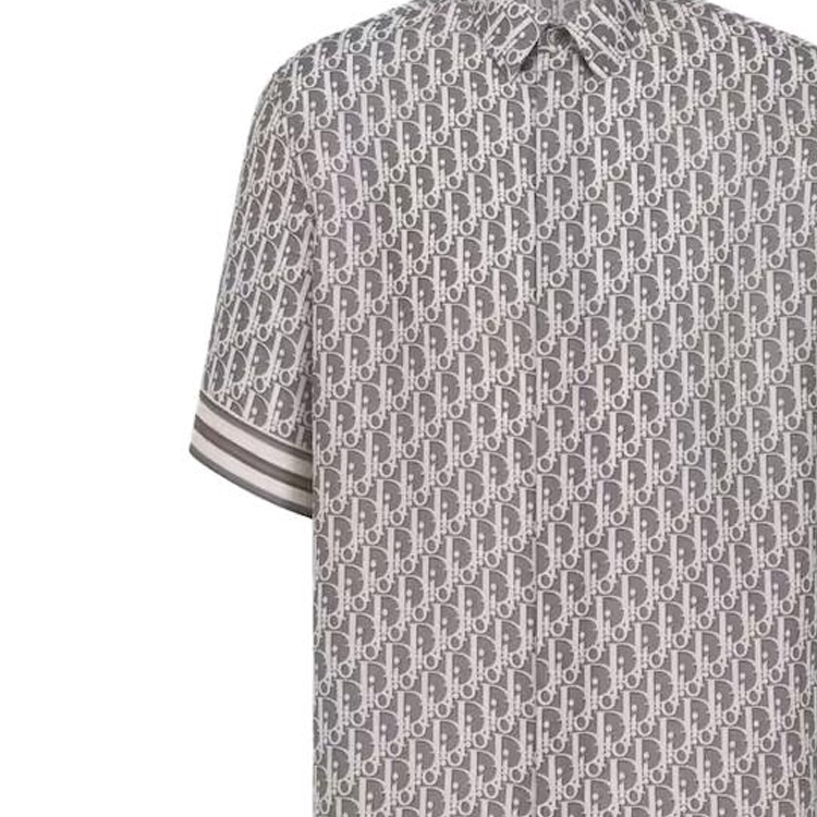 Sizing Camiseta Gris DIOR FW23 de Manga Corta con Estampado de Logotipo Completo. 193C545A475-1C881