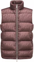 DIOR FW23 Monogram High-Neck Down Vest Brown 033C410A4462-2779 DIOR FW23 Monogram High-Neck Down Vest Brown 033C410A4462-2779