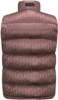 DIOR FW23 棕色高领羽绒马甲印花款 033C410A4462-2779 Lookbook DIOR FW23 棕色高领羽绒马甲印花款 033C410A4462-2779