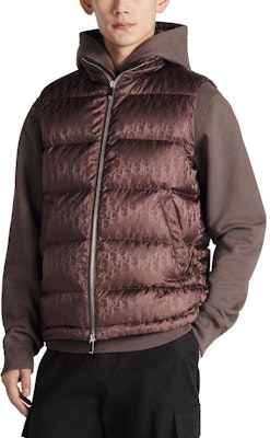 DIOR FW23 棕色高领羽绒马甲印花款 033C410A4462-2779 Shop DIOR FW23 棕色高领羽绒马甲印花款 033C410A4462-2779